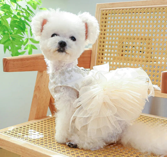 1PC Pet Apparel, Princess Dress with Pulling Cord Button For Small Medium Dogs, Glam 🐾 Collection