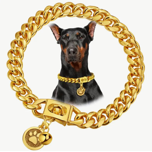 Gold Plated Stainless Steel Cuban Link Dog Collar