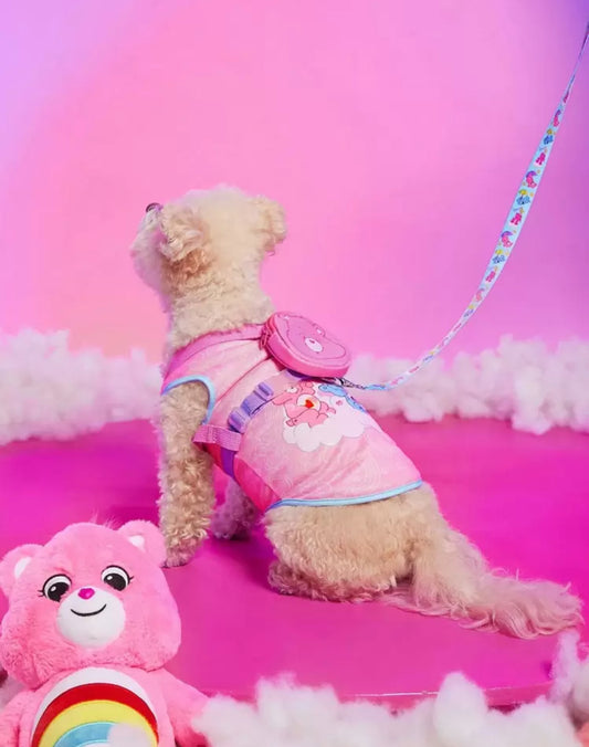 โCare Bearsโ Pet Harness & Leash Set