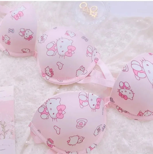 Sanrio Hello Kitty ♥️ Underwear Panties And Bra Set Push-up Bra( Runs Small)