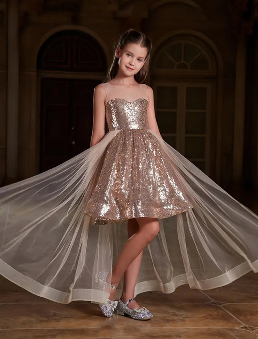 “Long Sparkling” Sequin Dress With Tulle Overlay