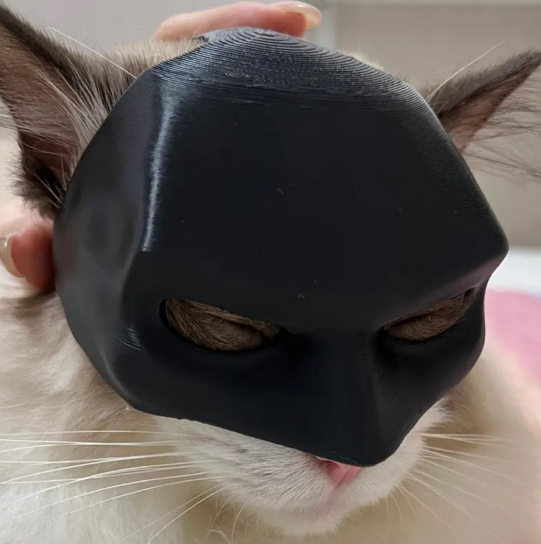 Lot De 2 Masques Batcat Pour Chat - Style Batman 3D - Pour Halloween, Cosplay Et Fêtes - Taille 13 Cm