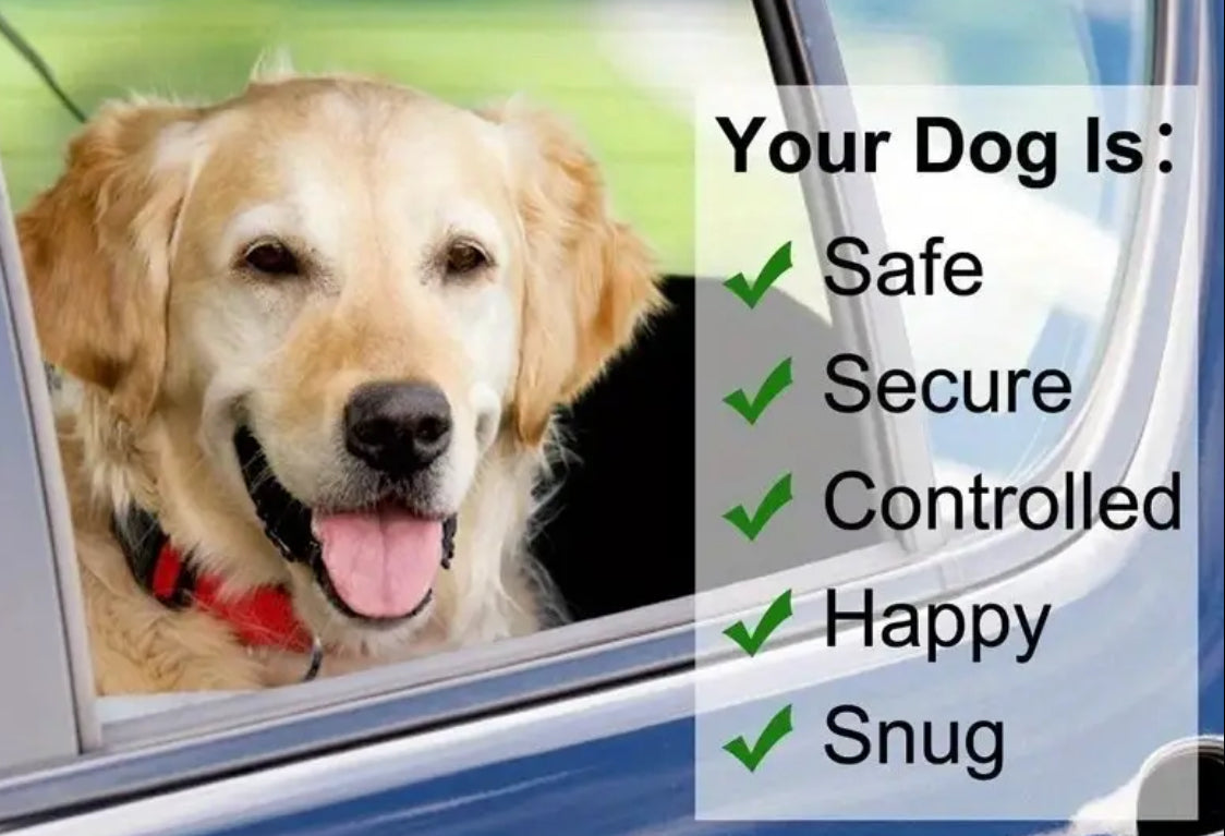 Pet Car Seat Belt |  Front and Rear Seat - 1pc Adjustable with 2-in-1 Nylon Lead | Durable Harness for Secure Travel, Sturdy Metal Buckles