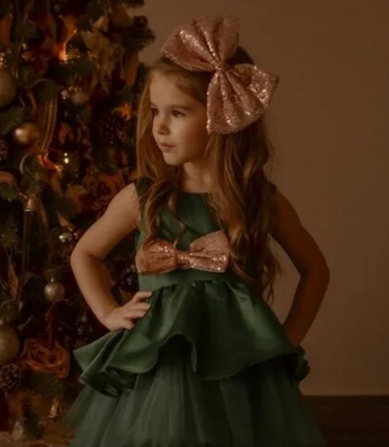 Sequins, Bows and Ruffles, Princess Dress