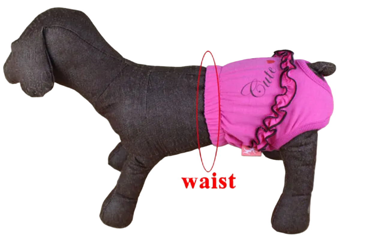 Pet Washable Diapers, Soft Breathable Colorful Cute Sanitary