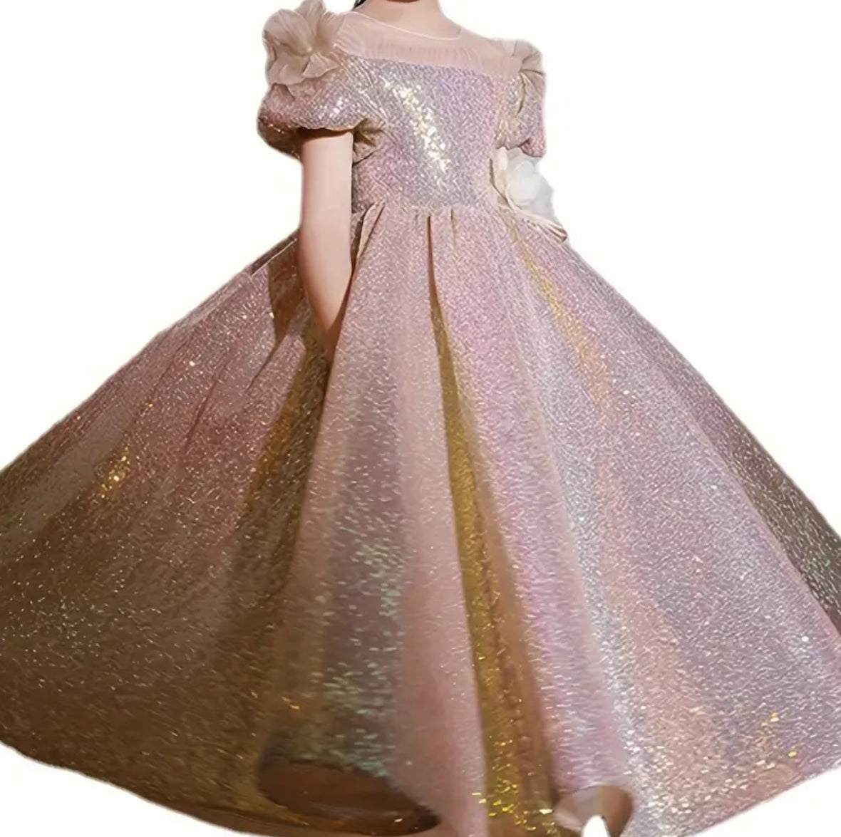 High-End Princess Birthday Party Dress 👑