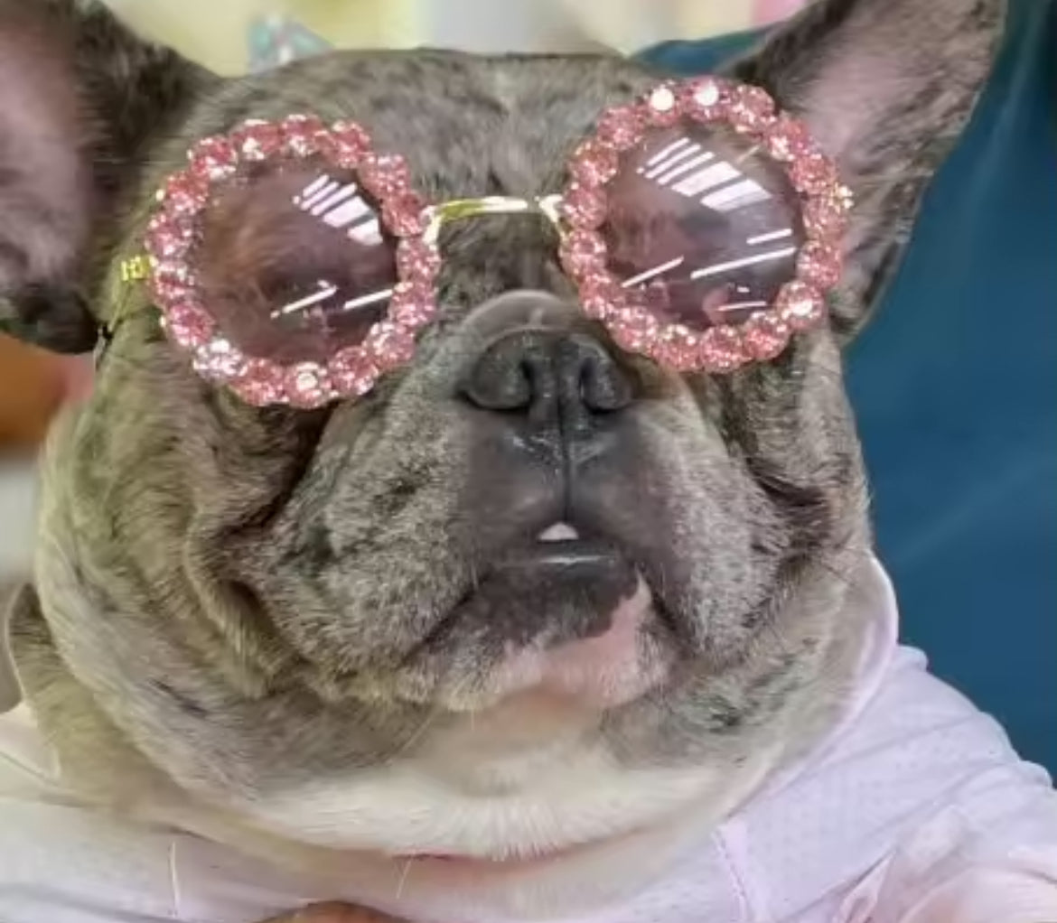 Sparkling Rhinestone Pet Fashion Glasses for Pets, for All Breeds