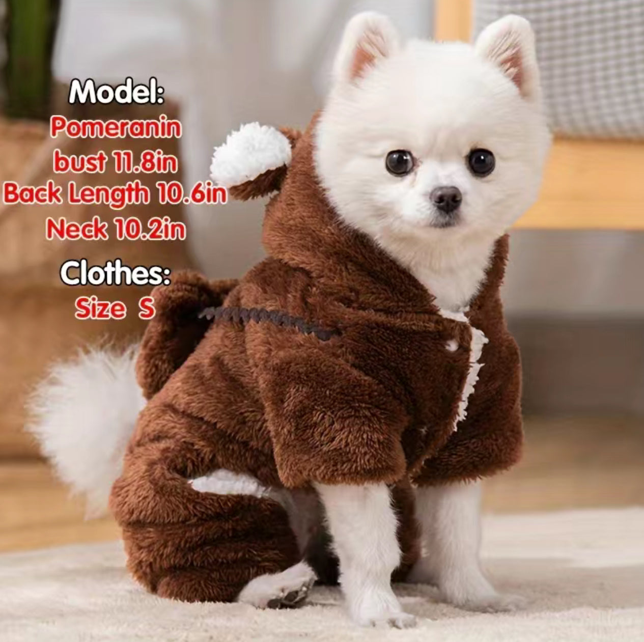 Modish Bear, Hooded Jumpsuit for Dogs