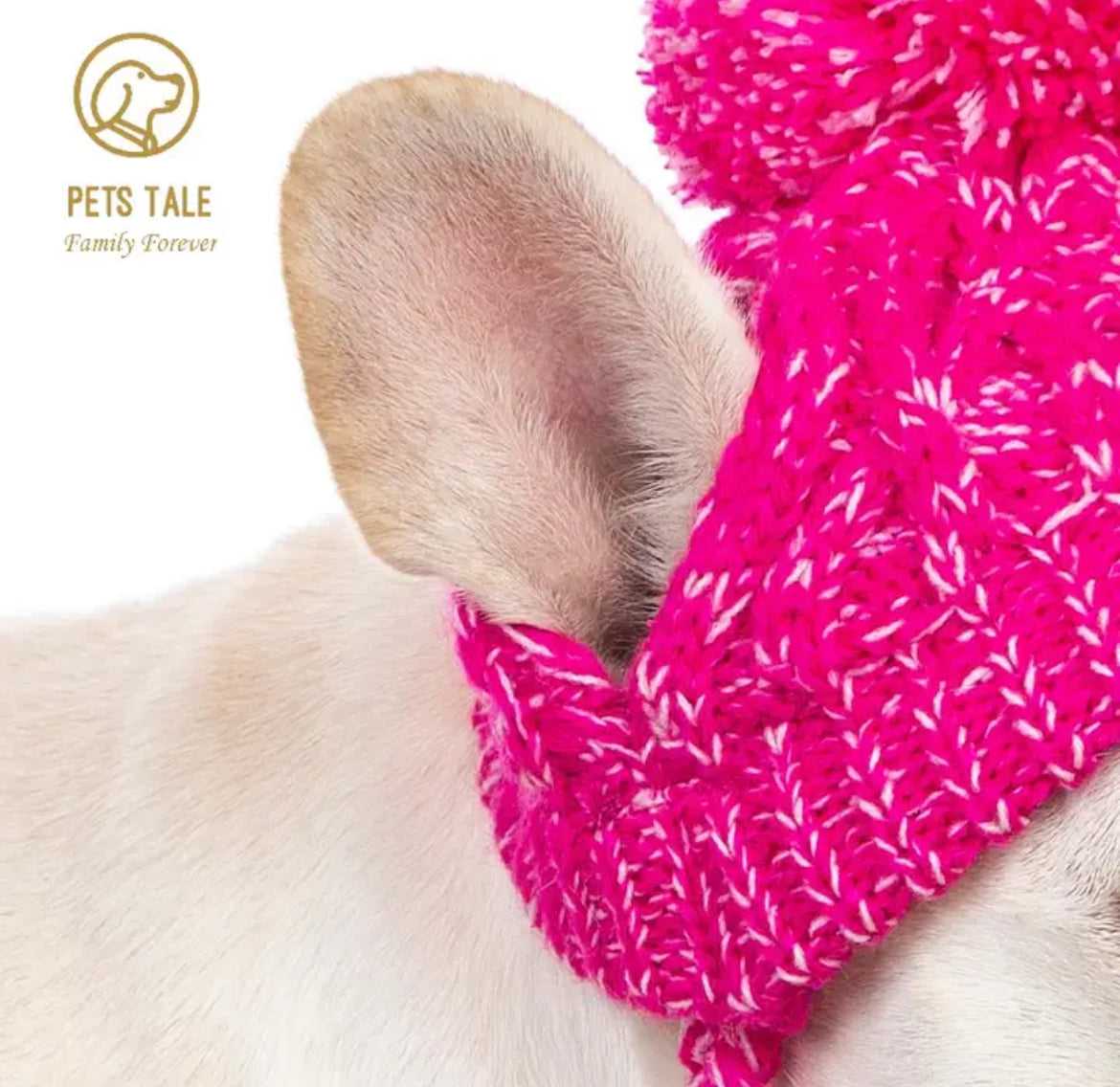 Knitted Pets Tale Winter Windproof Dog Hat – Modish Kids Boutique 👑