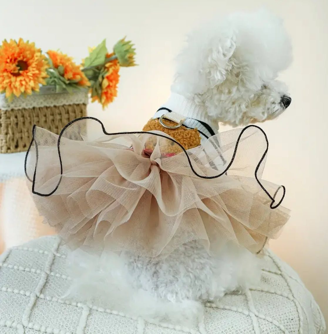 Adorable Modish Bear 🐻 Tutu Dress, Glam 🐾 Paws Collection