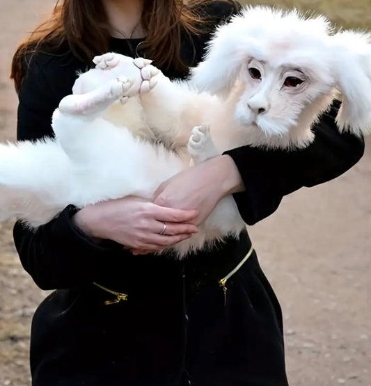 Falkor, Wise, Trusty Luck Dragon White, 16,93 inç (Gjatësia e bishtit nuk është përfshirë)