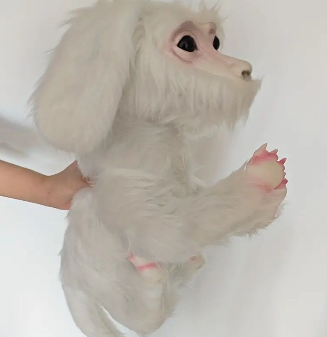 Falkor, Wise, Trusty Luck White Dragon, 16.93in (Tail Length Not Included)