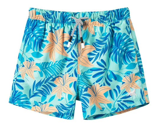 Waves, Boys Swim Trunks