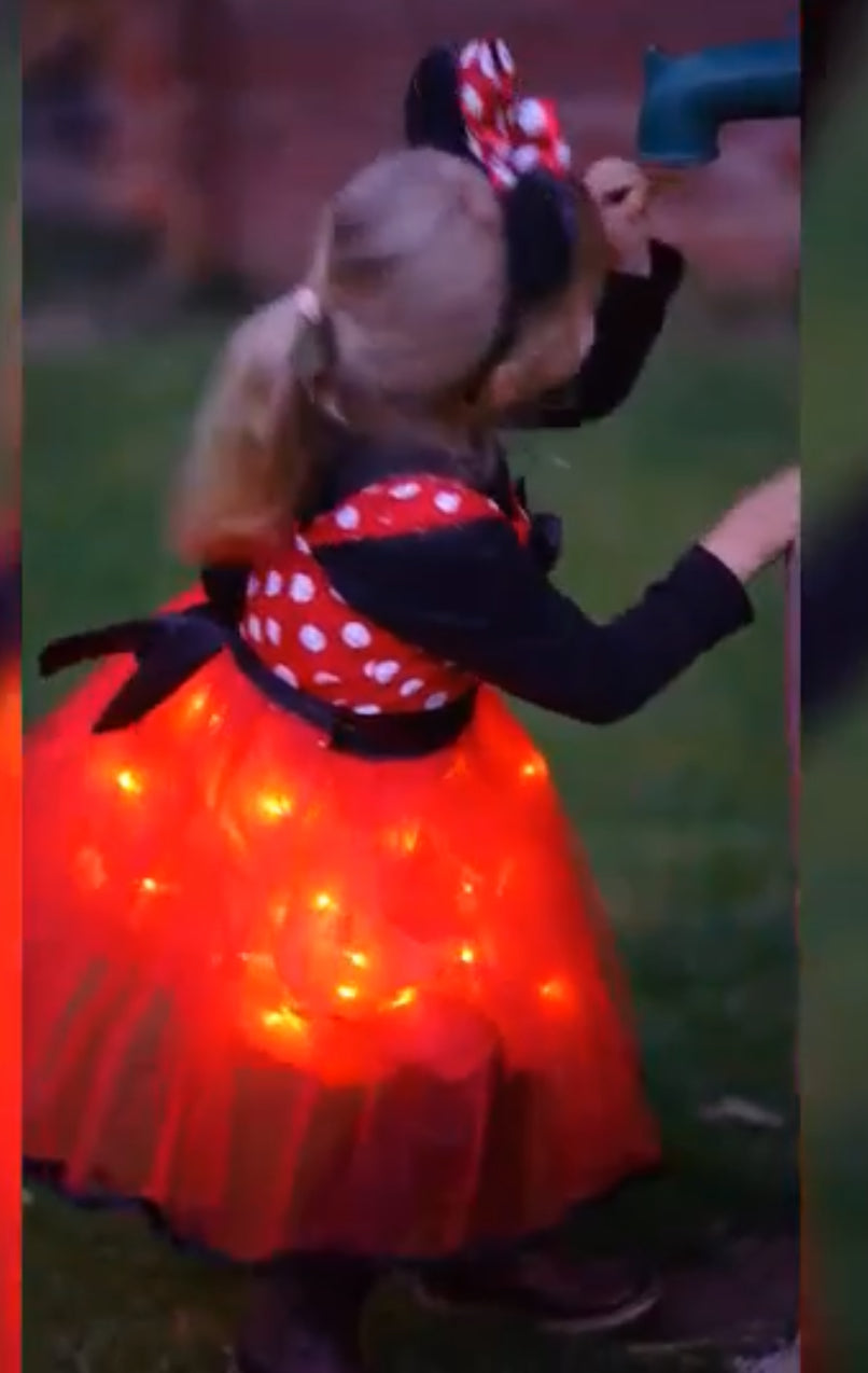 Mini ratón, LED parpadeantes, vestido de princesa con tutú