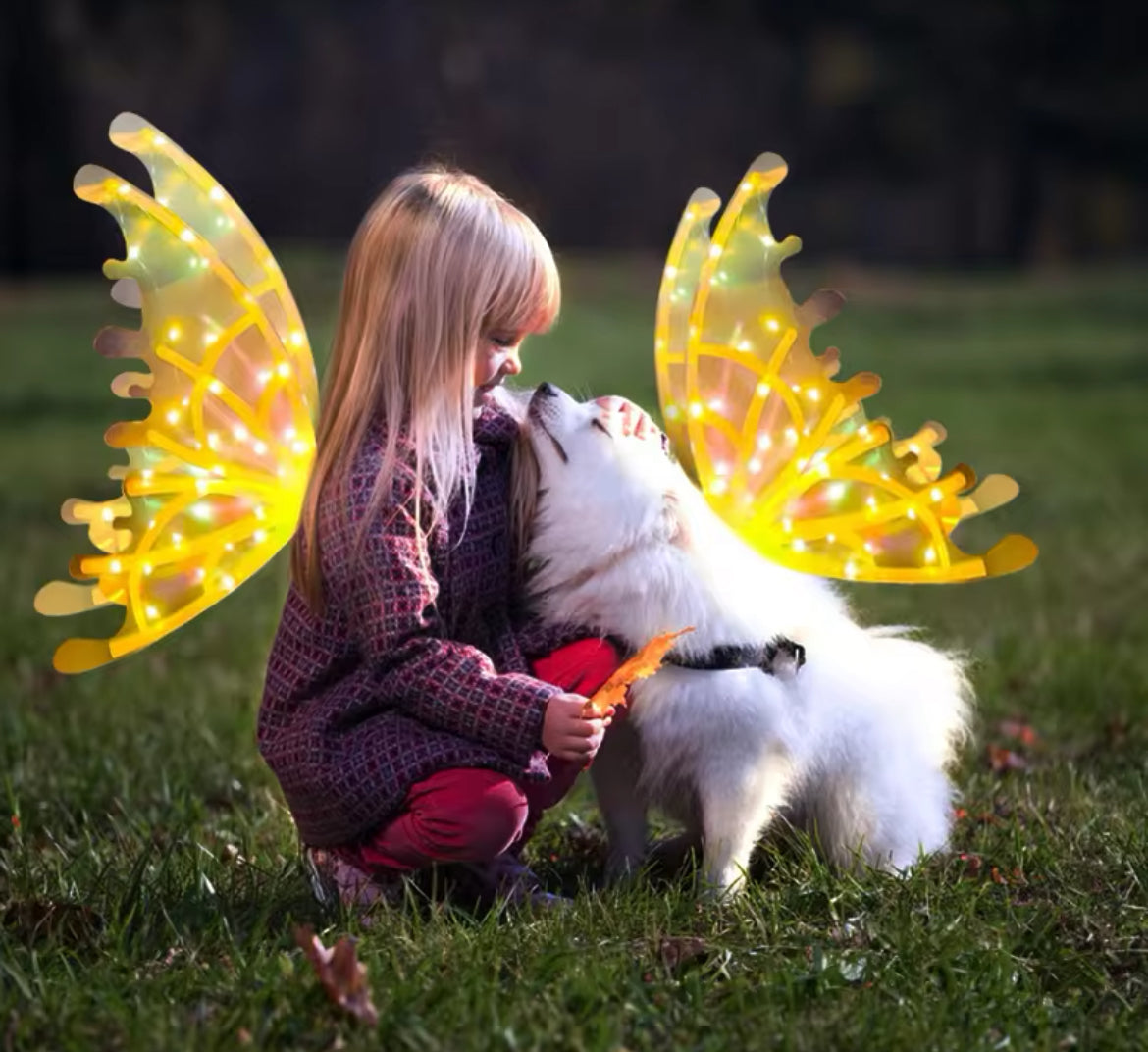 Luminous LED Fairy Wings, Color Changing LED Lights & Music