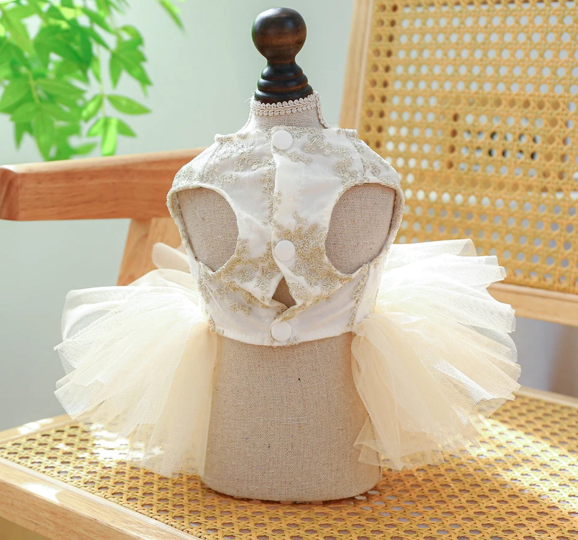 1PC Pet Apparel, Princess Dress with Pulling Cord Button For Small Medium Dogs, Glam 🐾 Collection