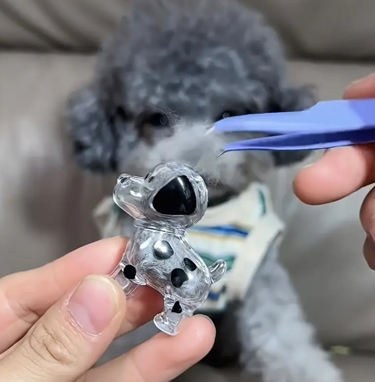 “My Buddy” Transparent Pet Hair Storage Capsule Keychain, Pet Owner's Keepsake or a Decorative Piece for The Desk