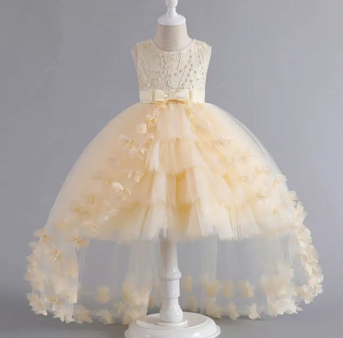 Elegant Girls' Princess Flowers, Tutu Dress with Flowing Train