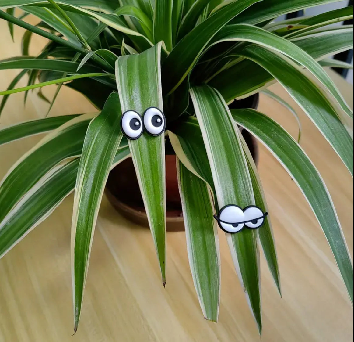 6 piezas de adorables ojos magnéticos de plantas: decoraciones seguras y delicadas con fuertes alfileres magnéticos