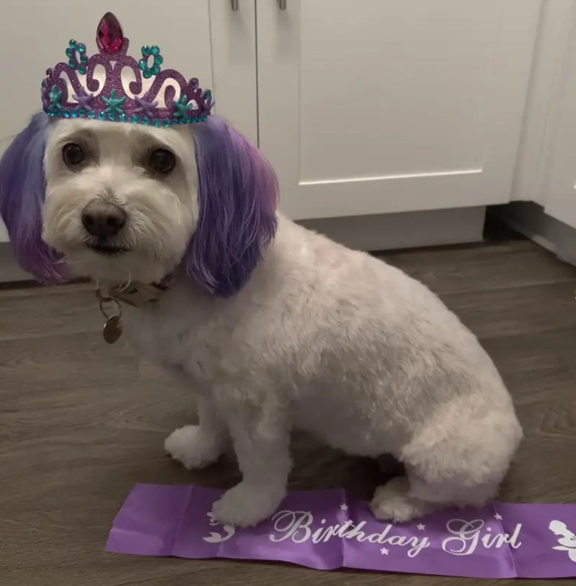 Mermaid Crown + Birthday Shoulder Sash