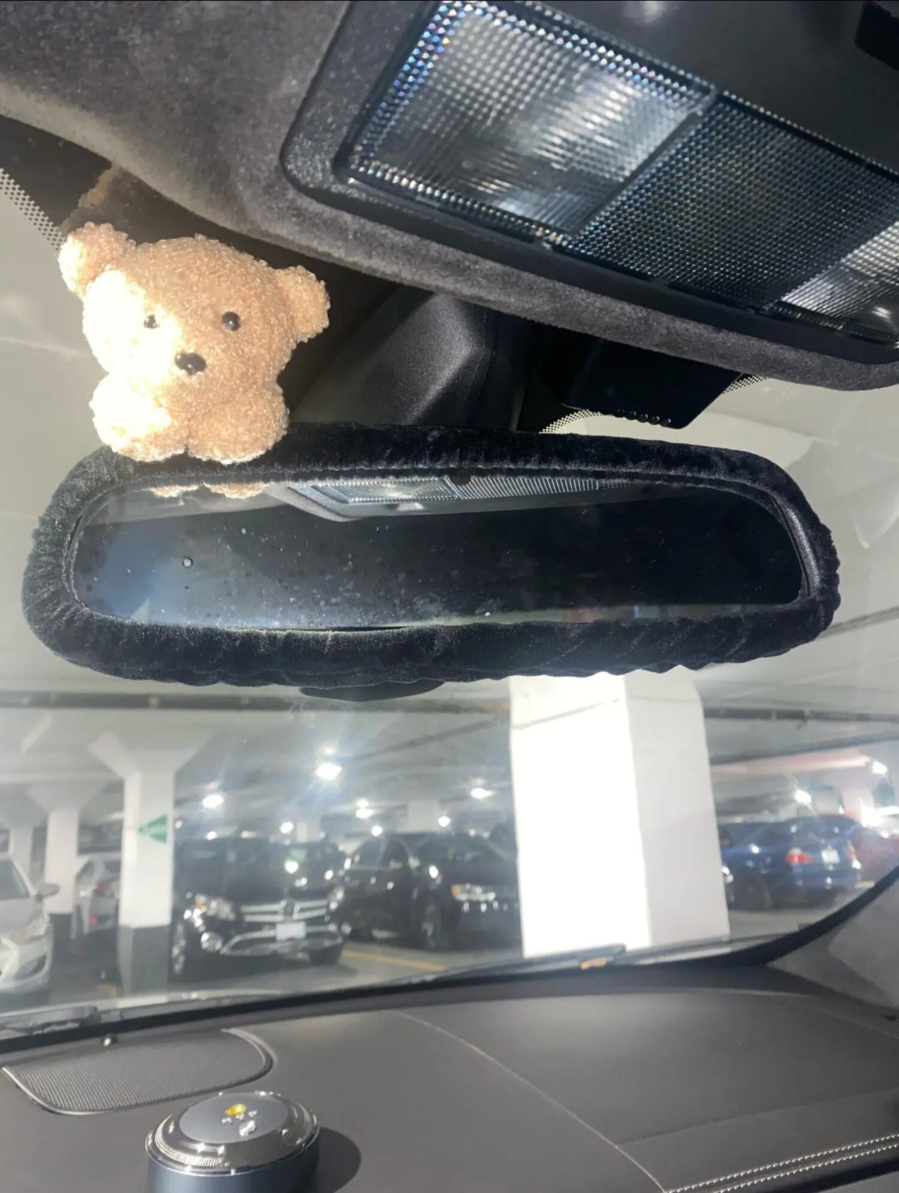 Modish Bear, Car Rearview Mirror Cover Accessories