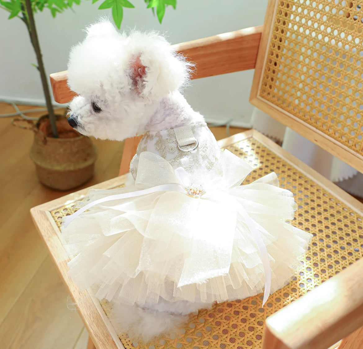 1PC Pet Apparel, Princess Dress with Pulling Cord Button For Small Medium Dogs, Glam 🐾 Collection