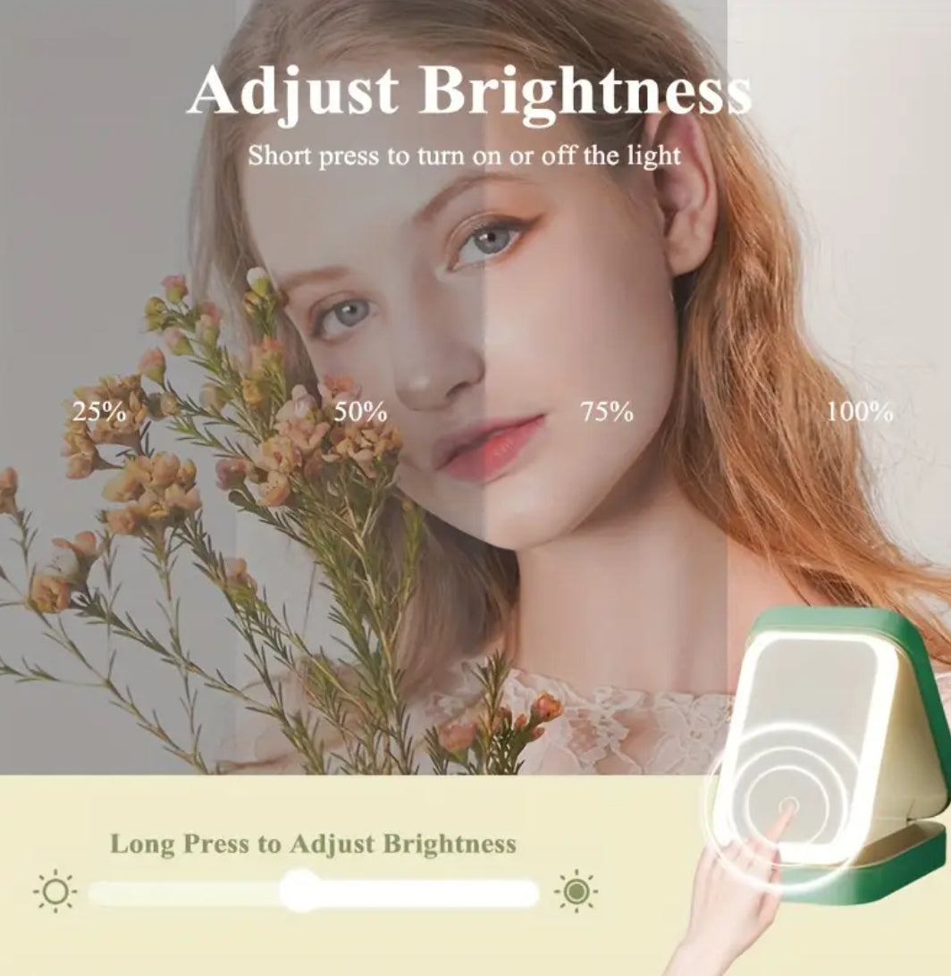 Travel LED Makeup Jewelry Organizer Case + 3 Lighting Color Options Mirror