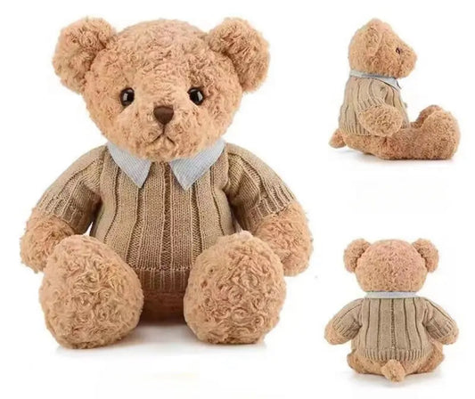 Modish Sweater Bear Teddy