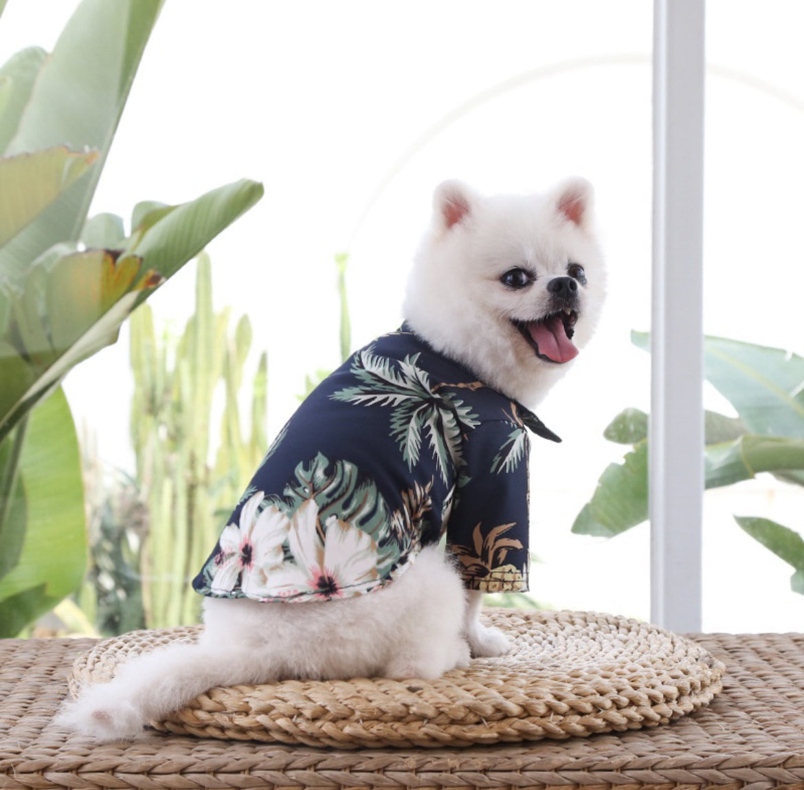 Glam Paws 🐾 Beach Pineapple Hawaiian pet shirt