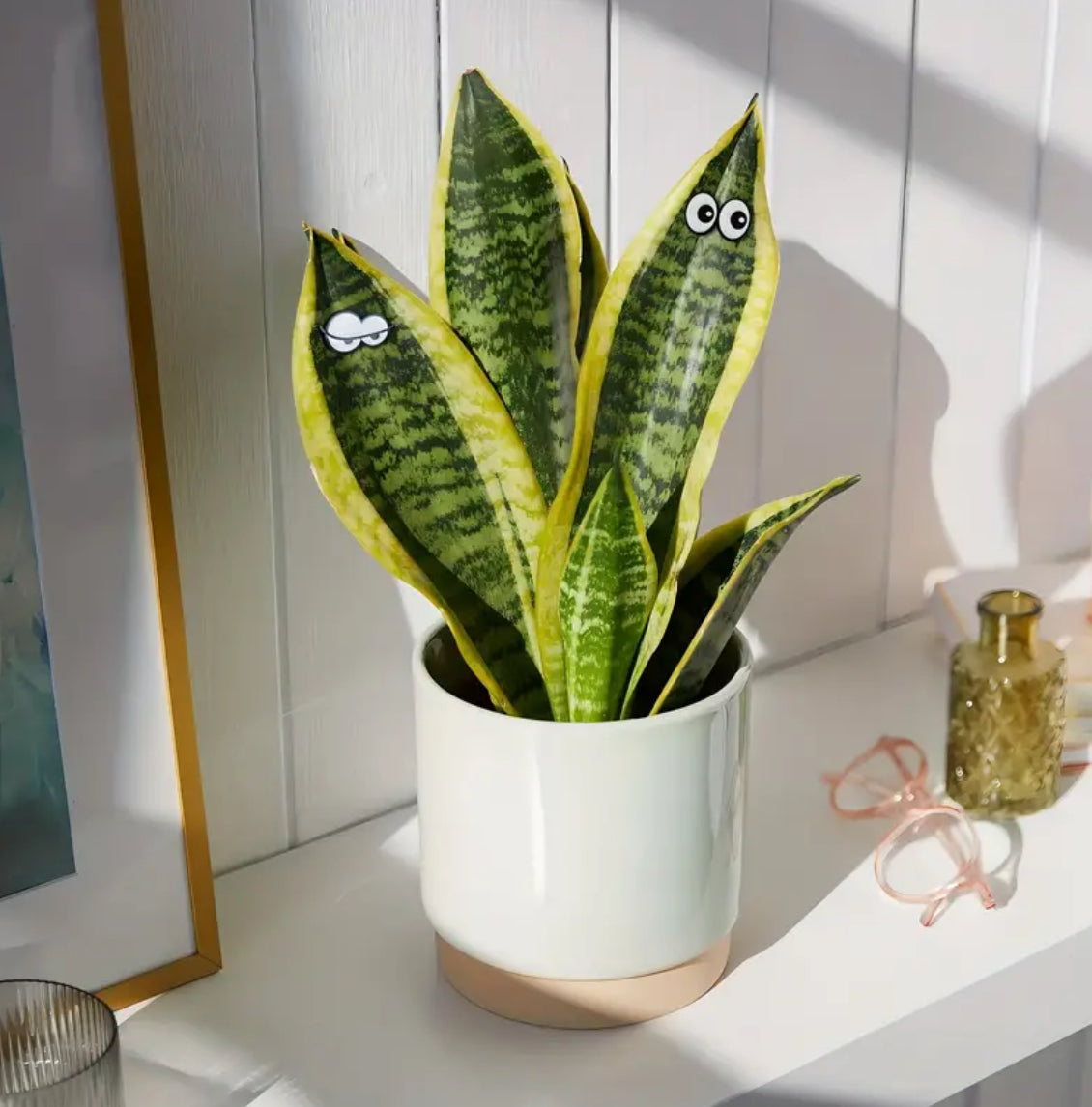 6 piezas de adorables ojos magnéticos de plantas: decoraciones seguras y delicadas con fuertes alfileres magnéticos