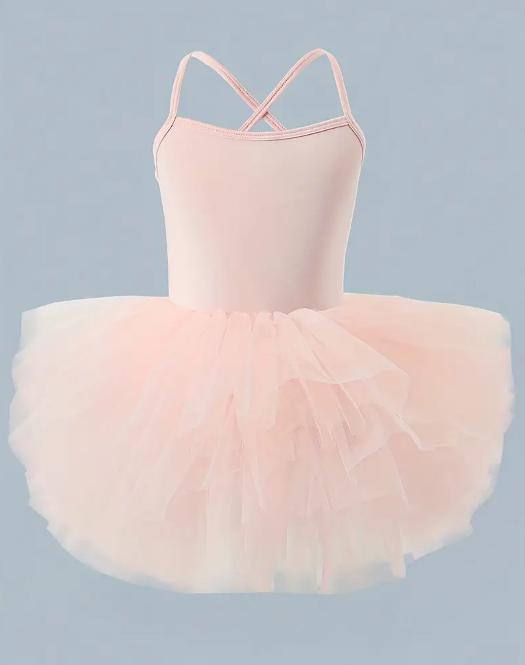 Girls Whimsical Tutu Ballet Dress 🦩