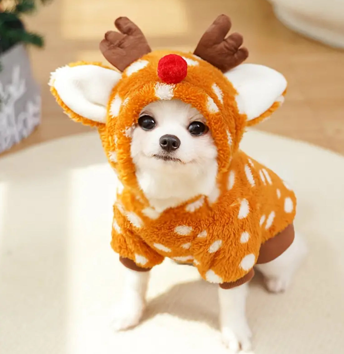 1pc Winter Reindeer Costume, Cozy Pullover for Small Breeds 🦌