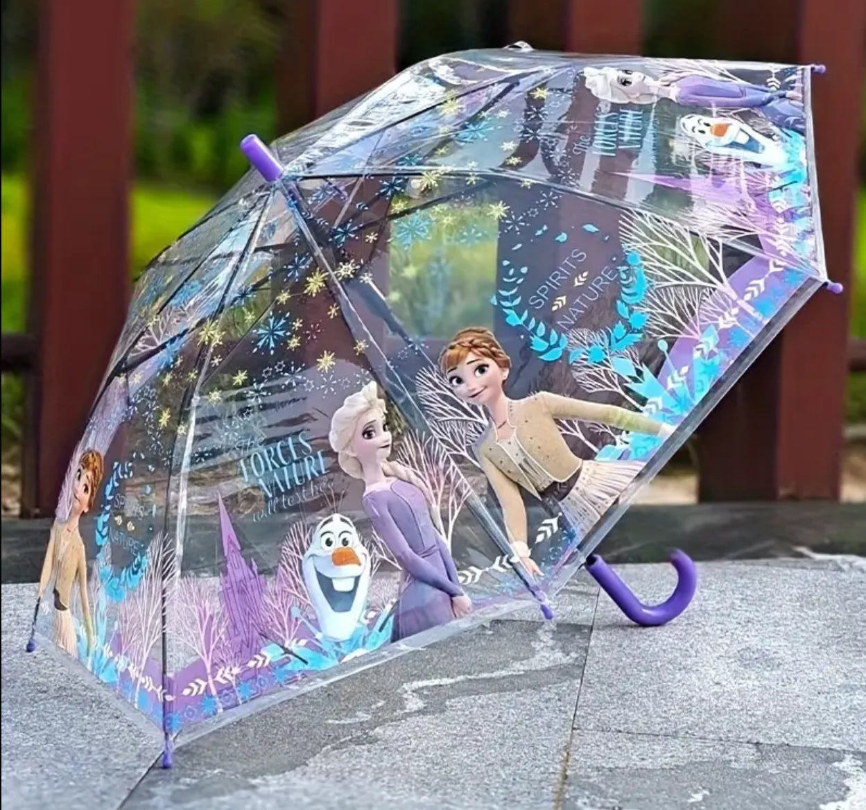 Disney’s ⛄️ Frozen Colorful Rainy Days Umbrella I Automatic Transparent Umbrella