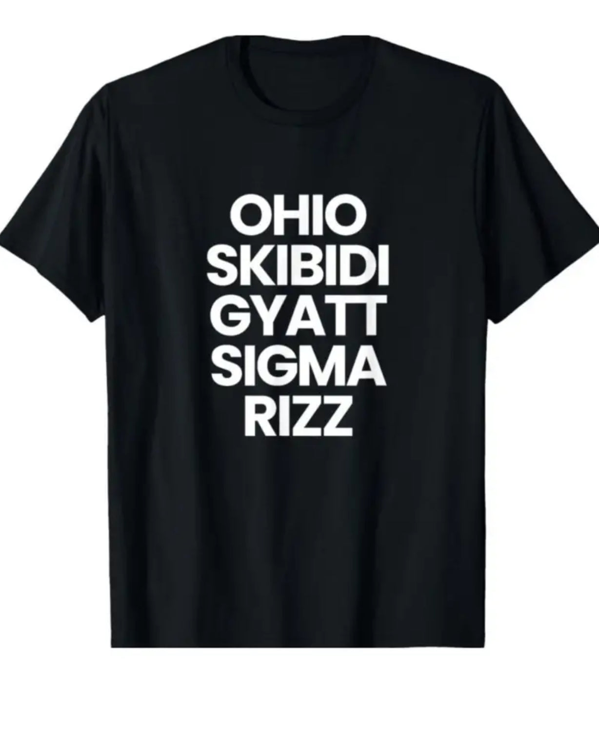 Ohio Skibidi Gyatt Sigma Rizz T-Shirt, Men’s