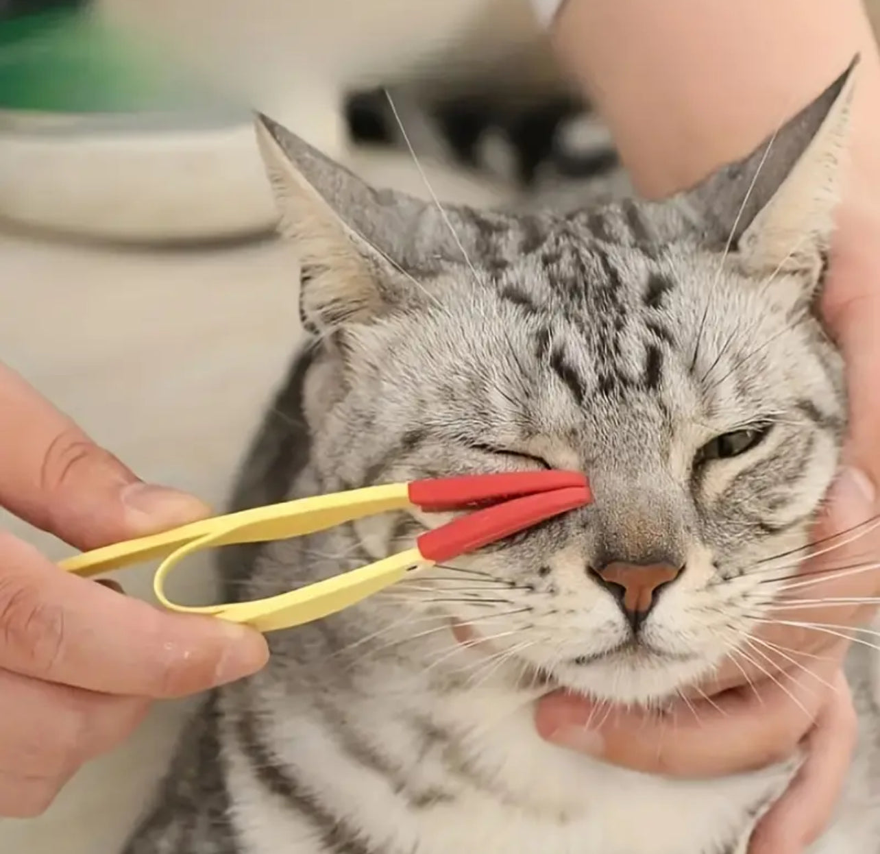 1PC Pet Tear Knot Marks Cat-Dog Eye Cleaner Clip Soft Brush