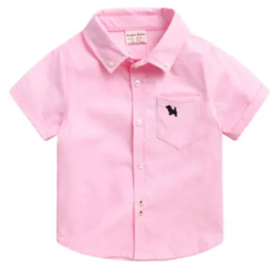 Short Sleeves, Cotton Candy’s, Baby Boys Casual Boy Shirts