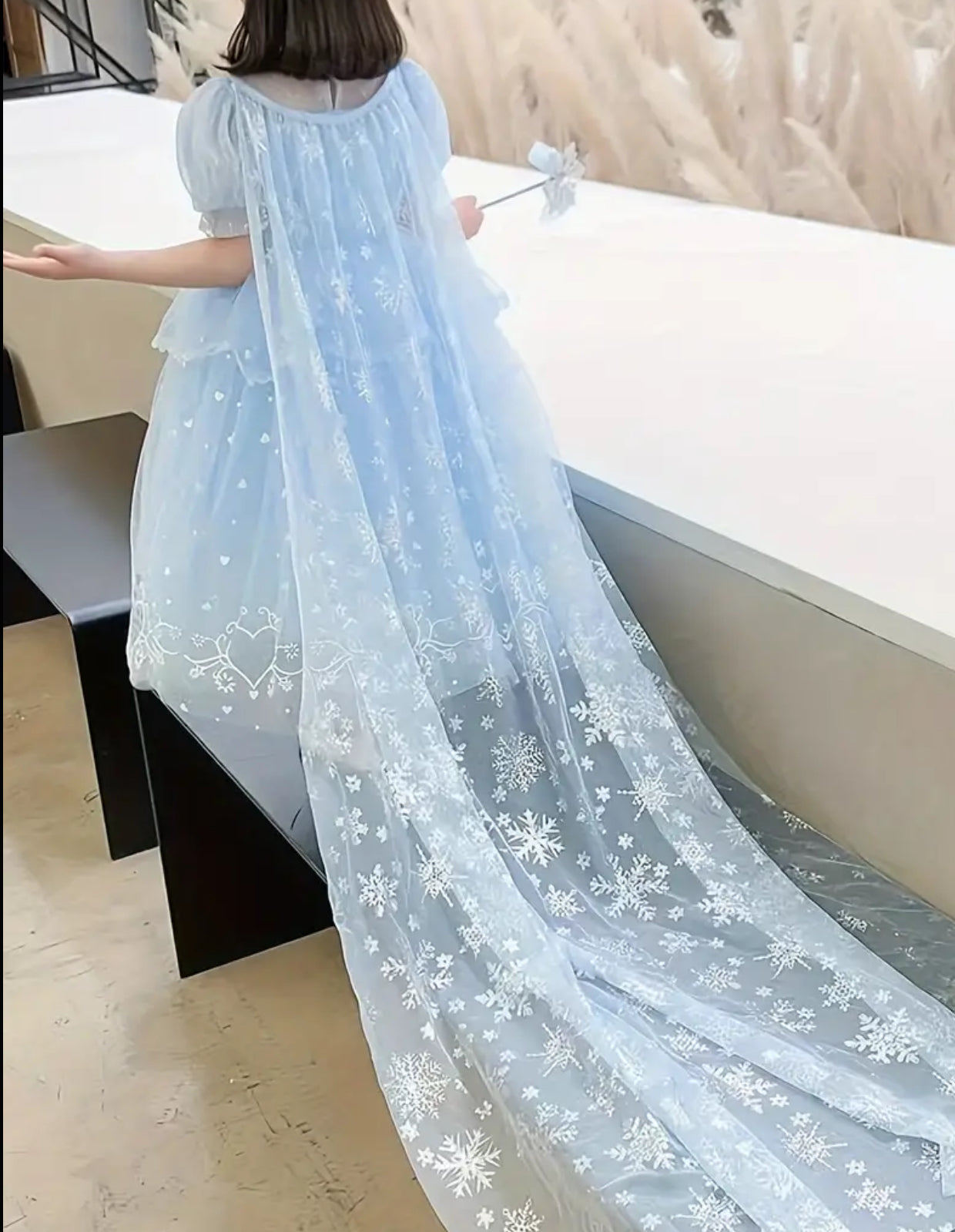 Vestido de princesa de cumpleaños de “Cenicienta”