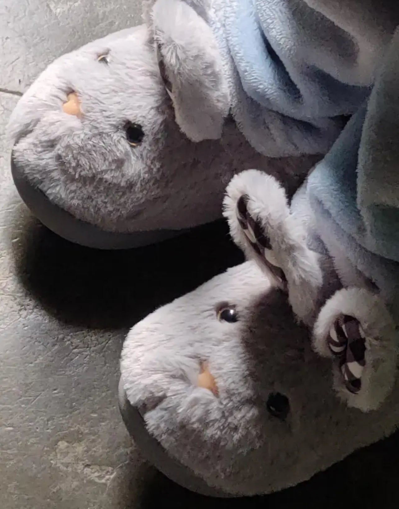 “Silly Rabbit”  Furry Slip-On House Slippers - Soft, Non-Slip, Comfortable & Warm, Youth