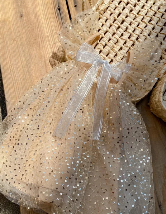 Vestido de princesa brillante, vestidos glamorosos