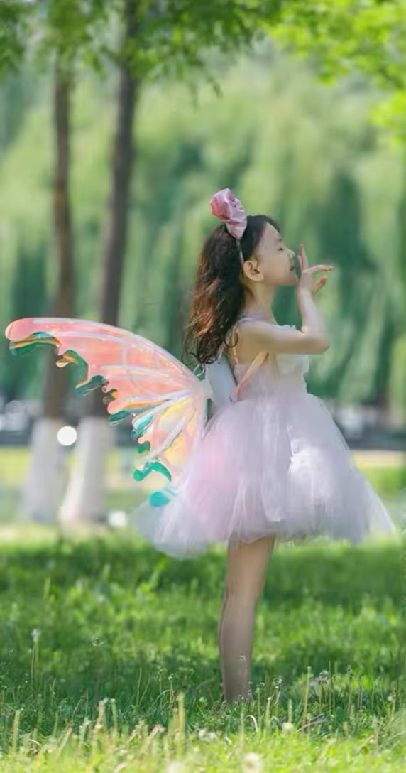 Luminous LED Fairy Wings, Color Changing LED Lights & Music