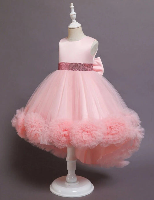 Elegant And Graceful 3D Floral Front, Mesh Puffy Princess Dress