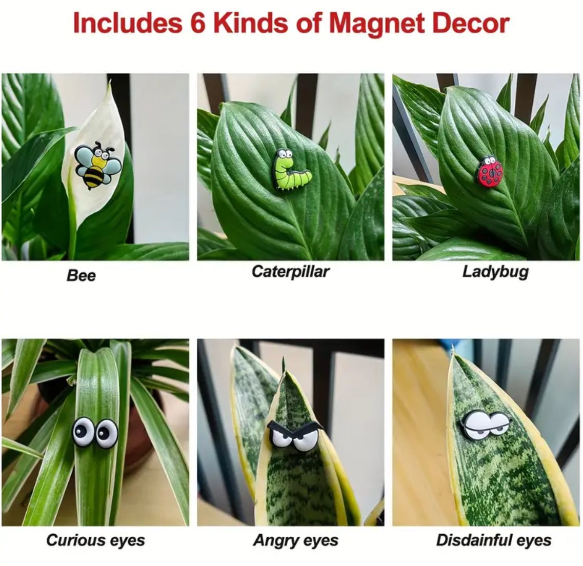 6 piezas de adorables ojos magnéticos de plantas: decoraciones seguras y delicadas con fuertes alfileres magnéticos