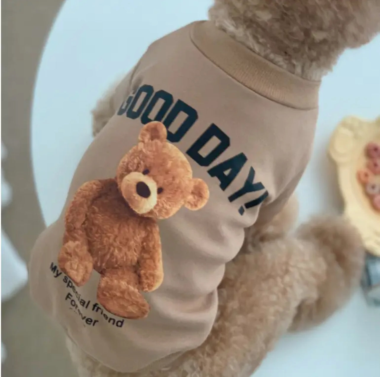 Modish Bear Dog Shirt
