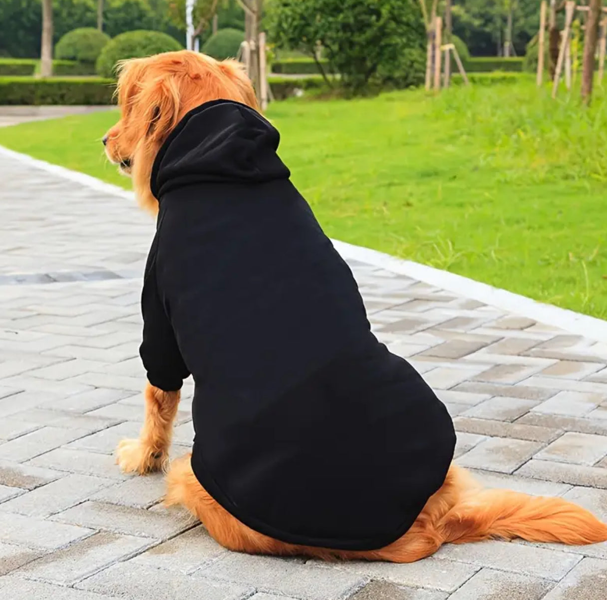 Big Doggy, Sweater, Pet Hooded Sweatshirt