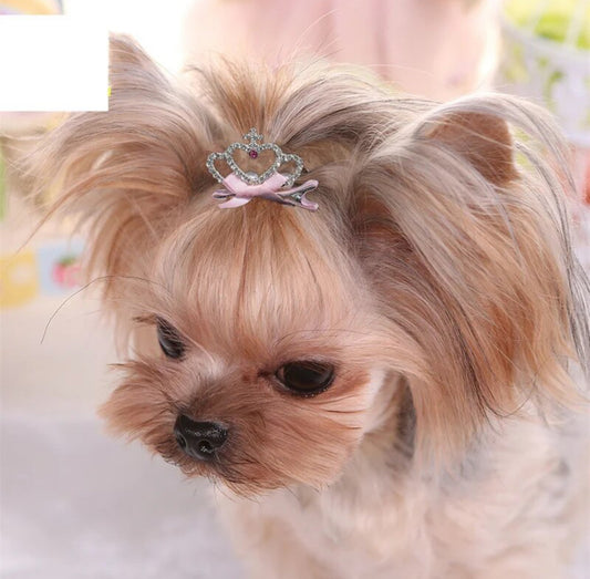 Dog Accessories Pet Grooming for Puppy Cat Dog Hair Clip Crown Bow Pet Hairpins