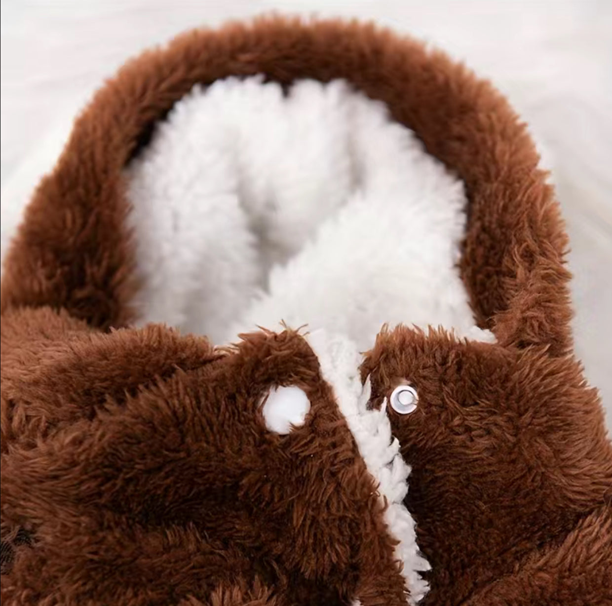 Modish Bear, Hooded Jumpsuit for Dogs